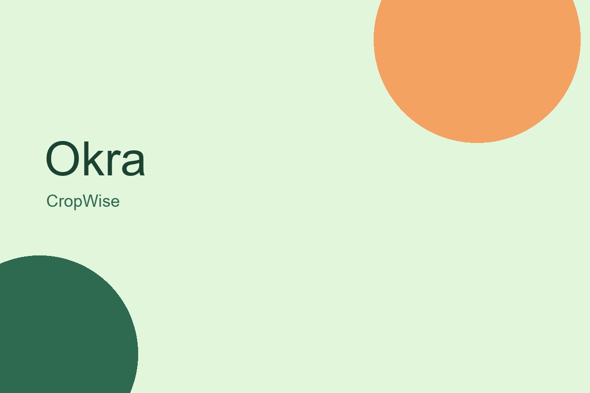 Okra